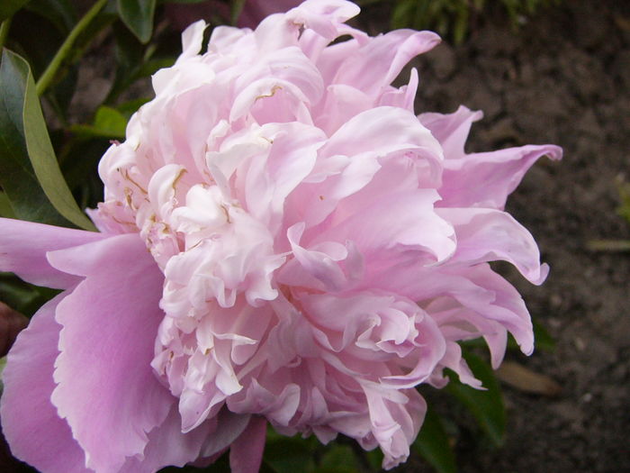 P1280073