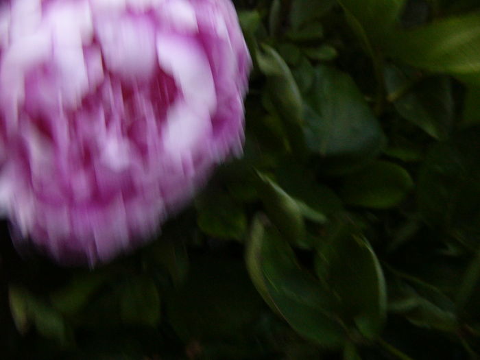 P1280081