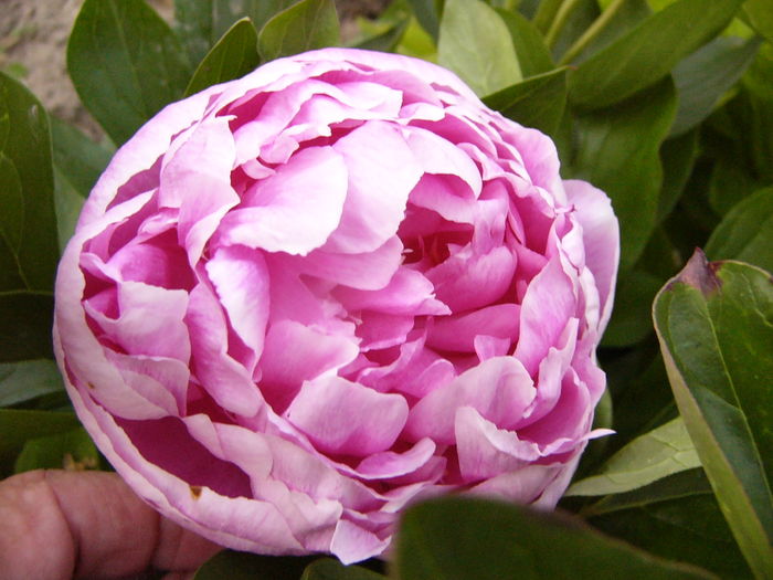 P1280083