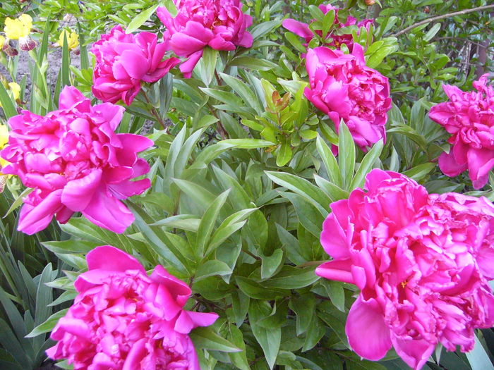 P1280084