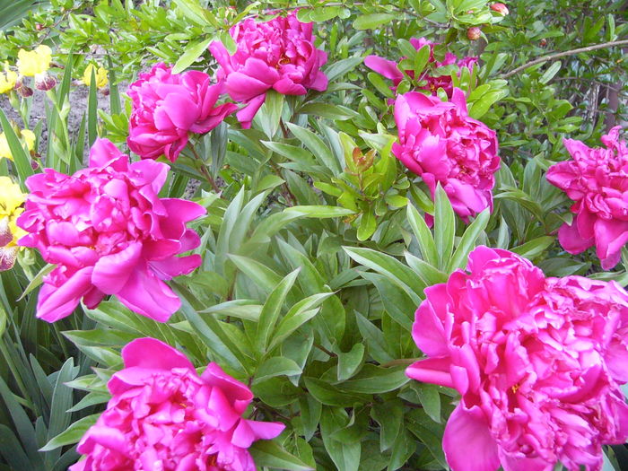 P1280085