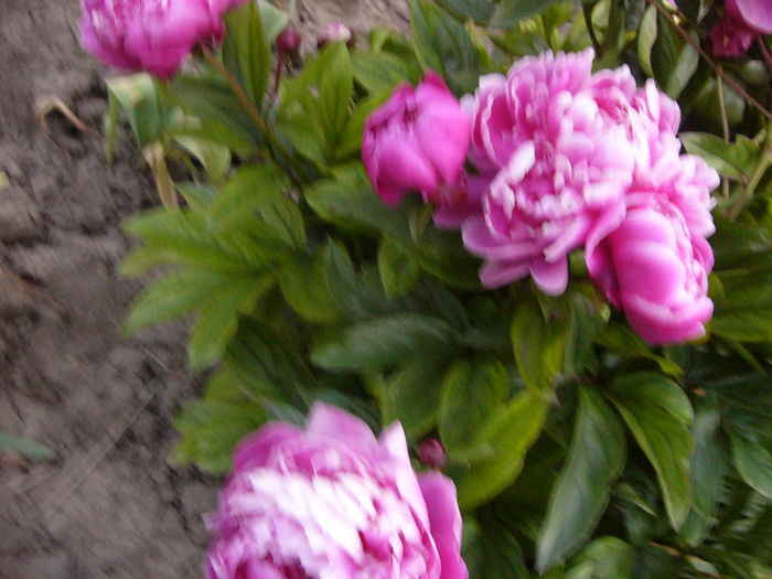 P1280094