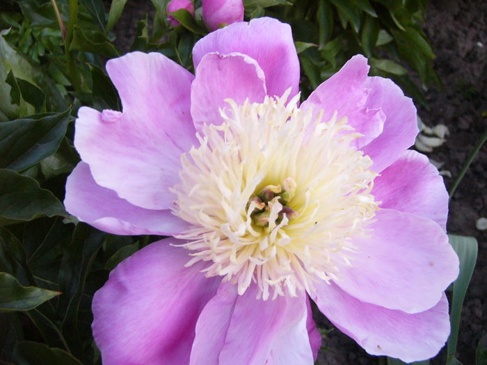P1280097