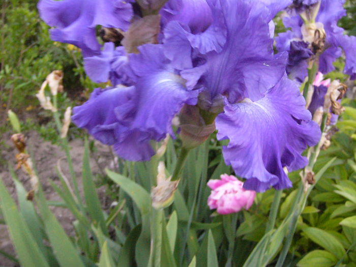 P1280104