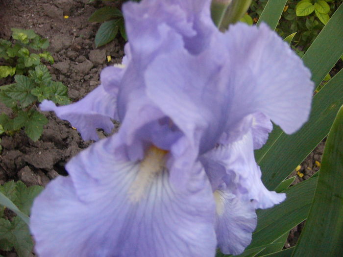 P1280110