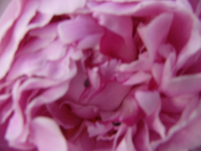 P1280113