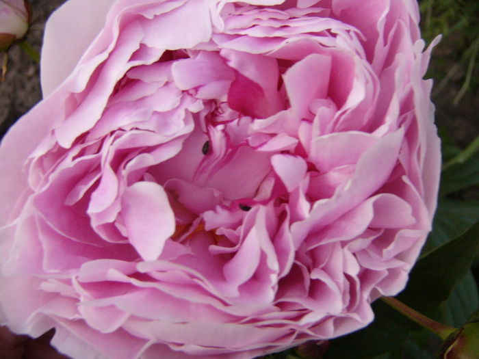 P1280114