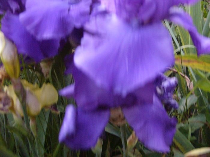 P1280118