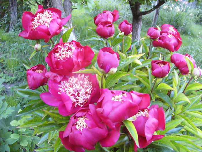 P1280122