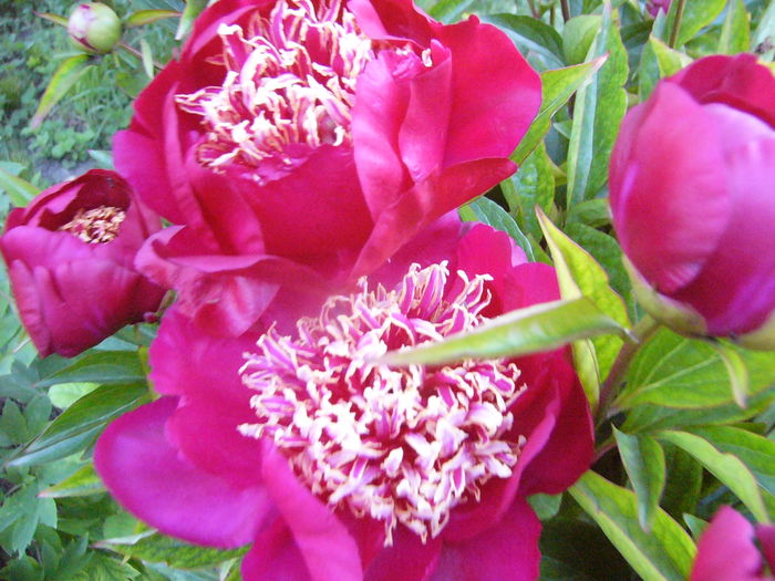 P1280124