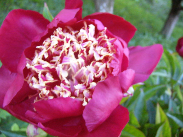 P1280128