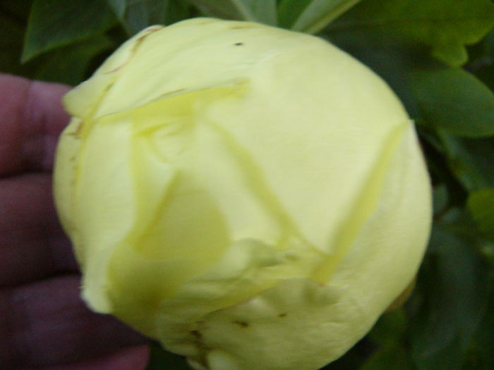 P1280130