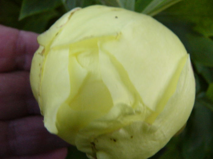P1280131
