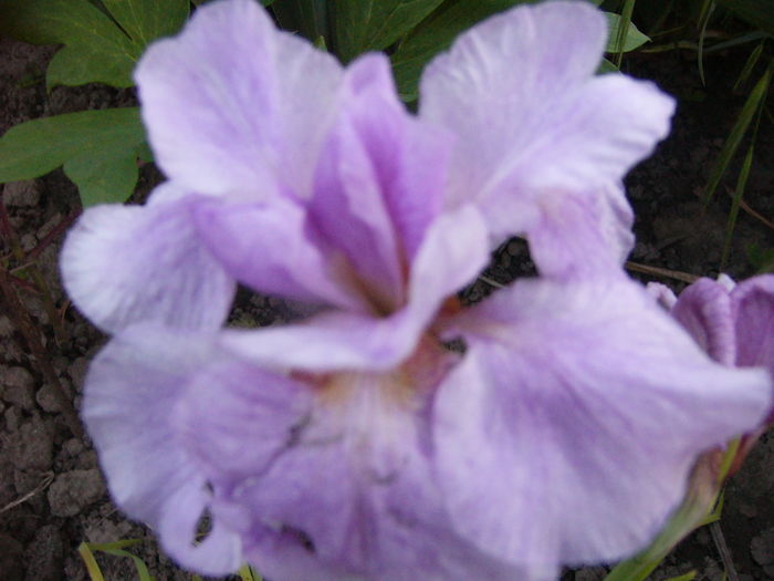 P1280133