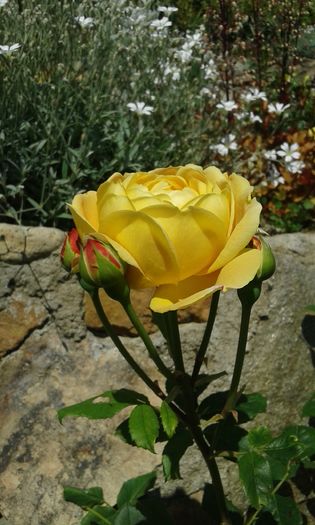 088