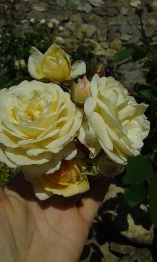 082
