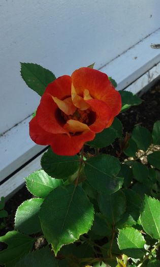 076
