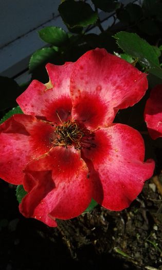 075
