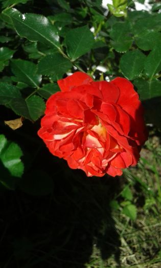 071