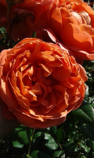 055