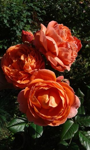 053