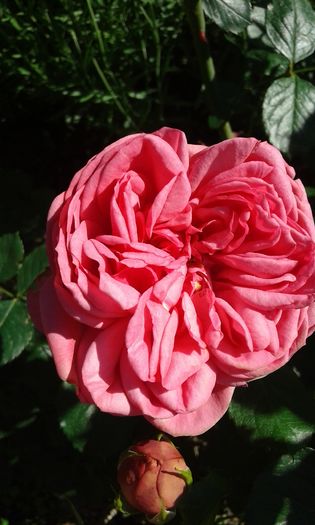 027
