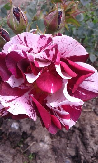 095