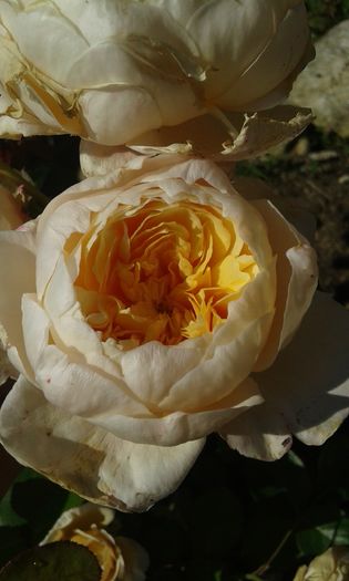 025