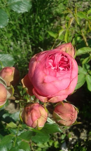091