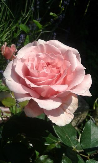 087