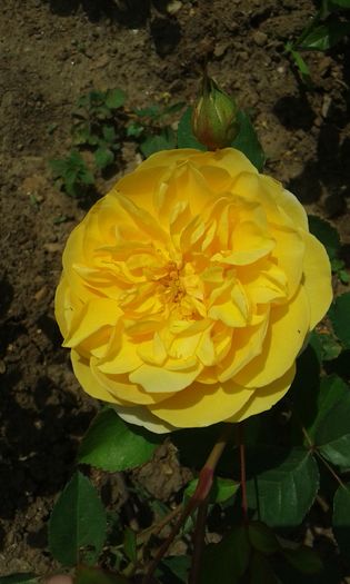 093