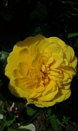 074