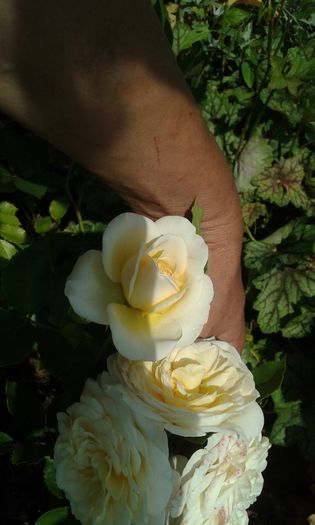 071