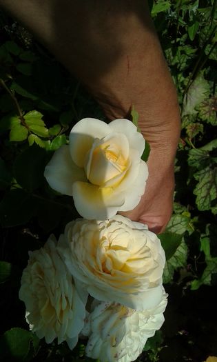 070