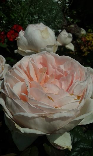 062