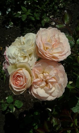 061