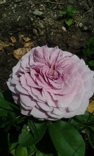 059