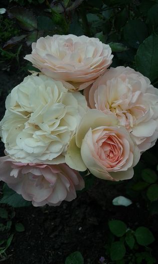 054