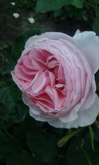 052