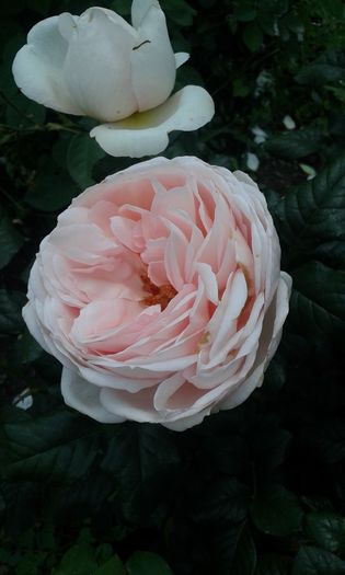 049