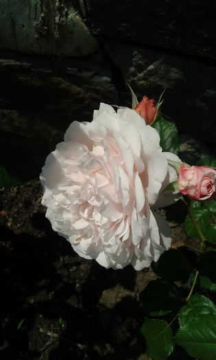 031