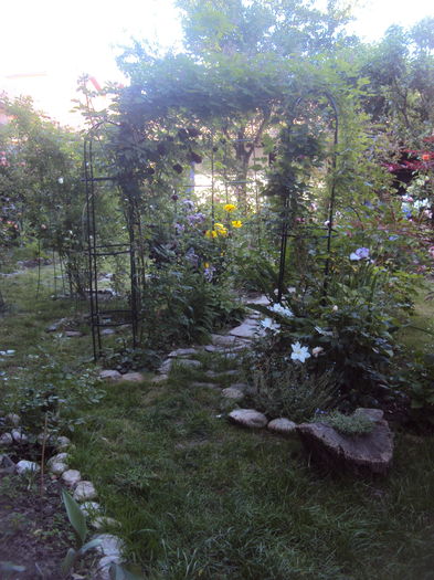 DSC01623 - 2016 Gradina rozelor
