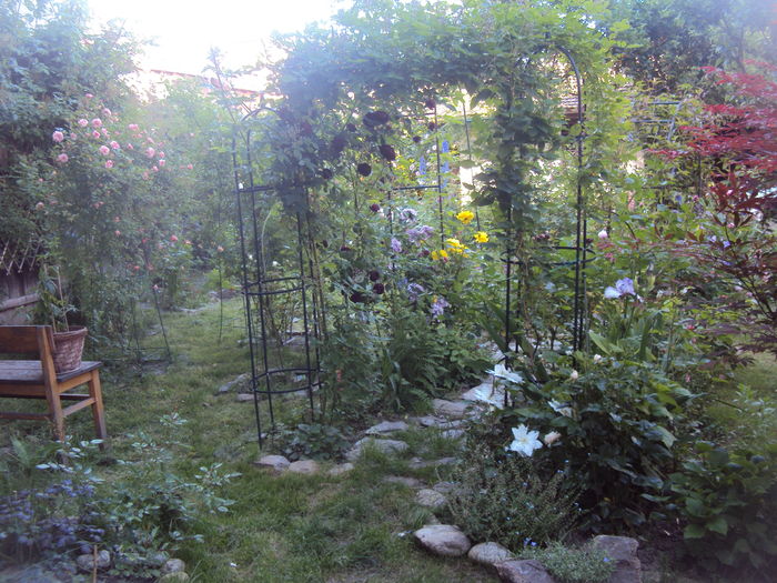 DSC01625 - 2016 Gradina rozelor