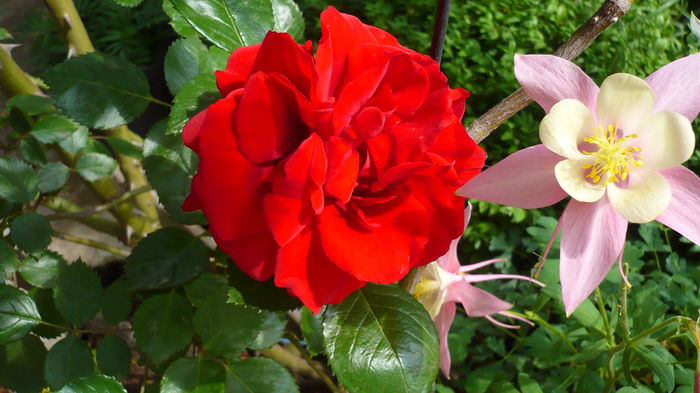 P1150083