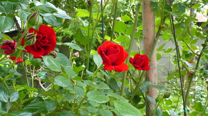 P1150084