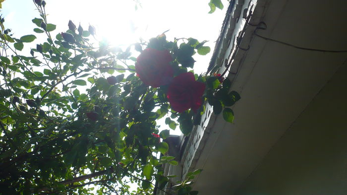 P1150090