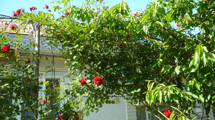 P1150143