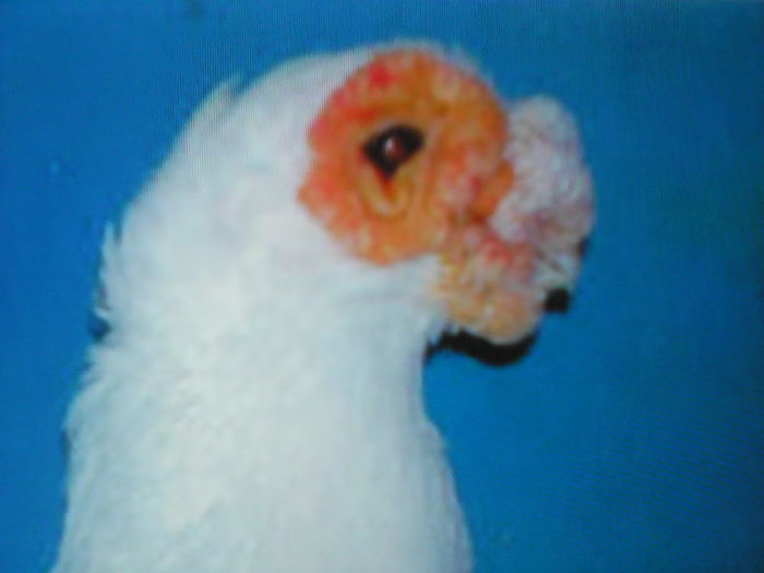 IMG_20140107_100831 - SELECTIV