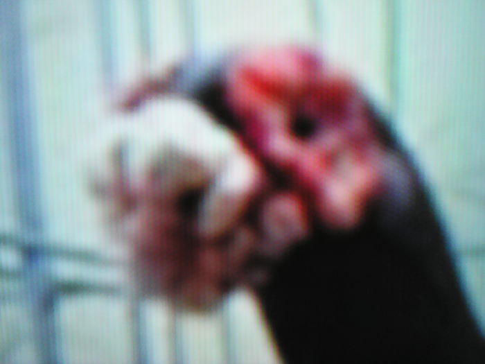 IMG_20160217_151018 - SELECTIV