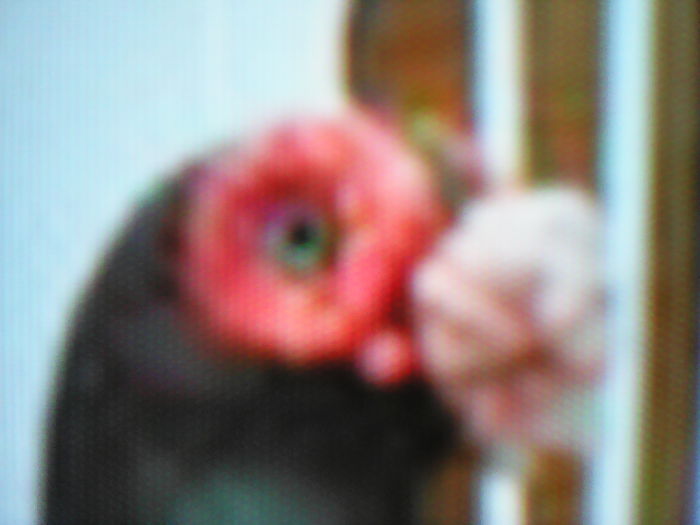 IMG_20160507_205808 - SELECTIV